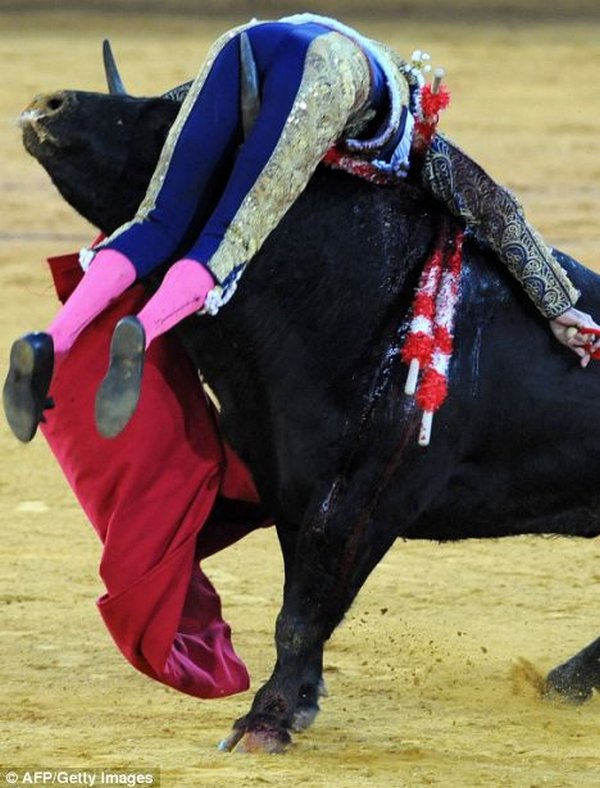 matador spain 09 Dramatic Moments When Matadors Get Gored by a Bull