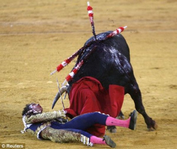 matador spain 10 Dramatic Moments When Matadors Get Gored by a Bull