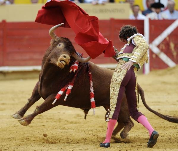 matador spain 19 Dramatic Moments When Matadors Get Gored by a Bull