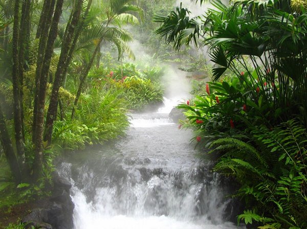 waterfall 14 Amazing Photos of Most Beautiful Waterfalls in The World