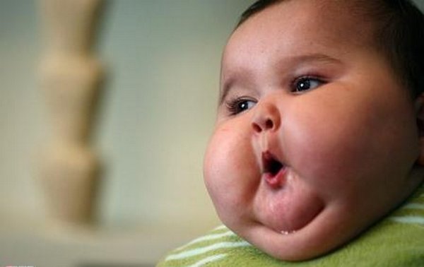 fat babies pictures. fat babies eating. fat baby 01
