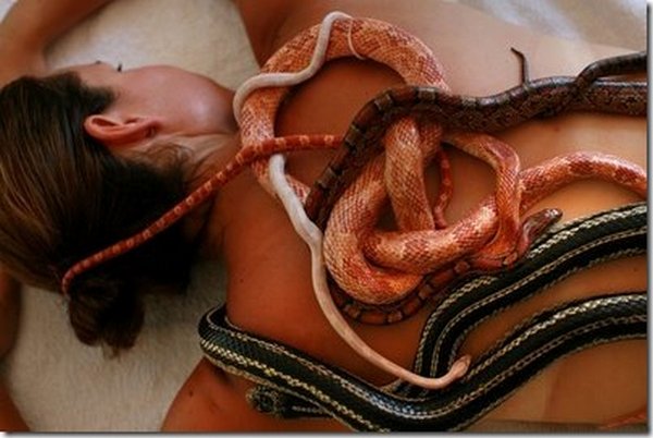 snake message 05 Refreshing Snake Massage In Israel