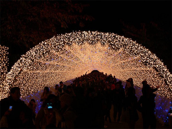 amazing winter light festival in japan 08 Unreal Light Show: Winter Light Festival in Japan