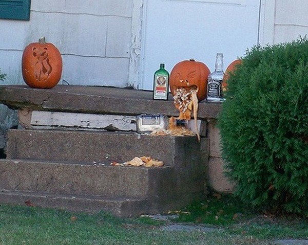 drunk pumpkins 01 Pumpkins + Alcohol = Not Feeling So Good