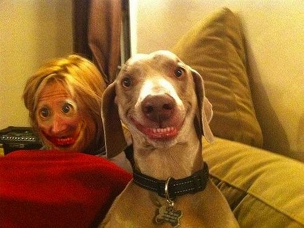 freaky animal human face swaps 15 Well That Got Out of Hand