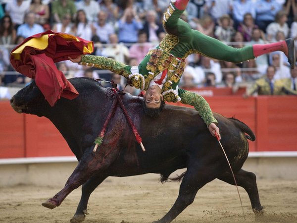 matador spain 07 Dramatic Moments When Matadors Get Gored by a Bull