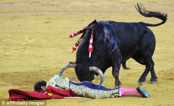 matador spain 11 Dramatic Moments When Matadors Get Gored by a Bull
