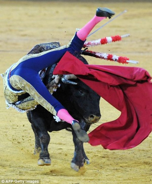matador spain 12 Dramatic Moments When Matadors Get Gored by a Bull