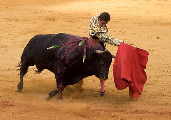 matador spain 13 Dramatic Moments When Matadors Get Gored by a Bull
