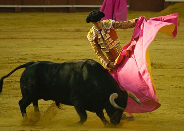 matador spain 14 Dramatic Moments When Matadors Get Gored by a Bull