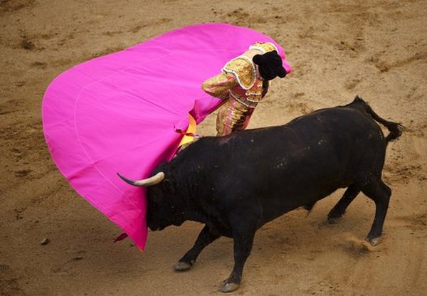 matador spain 16 Dramatic Moments When Matadors Get Gored by a Bull