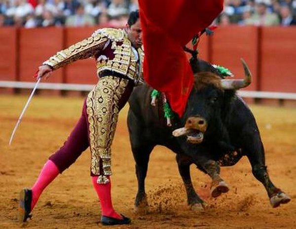 matador spain 18 Dramatic Moments When Matadors Get Gored by a Bull