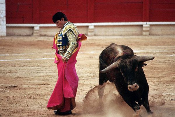 matador spain 20 Dramatic Moments When Matadors Get Gored by a Bull