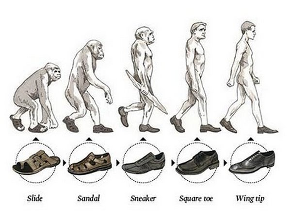 evolution 19 Funny Photos of Evolution In Every Things