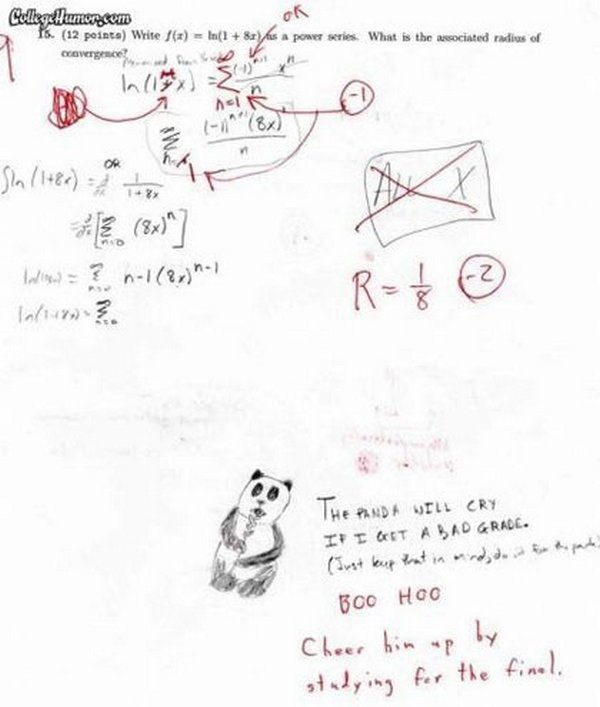 exam 11 15 Funniest Exam Answers: Stuff You Wish You Could Have Written 