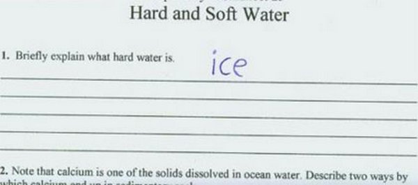 exam 13 15 Funniest Exam Answers: Stuff You Wish You Could Have Written 