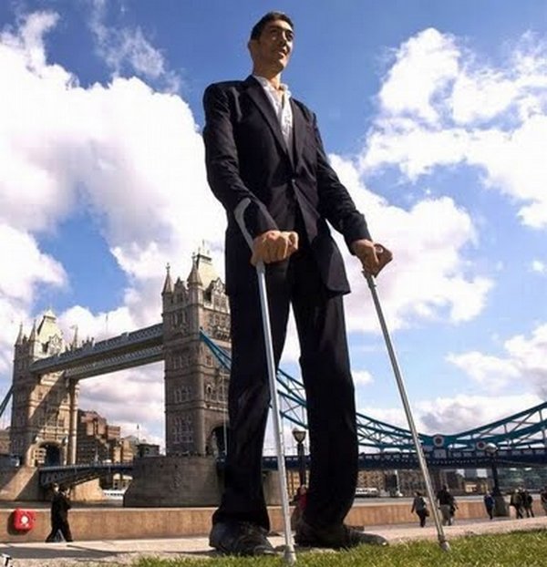 tallest man 06 Meet Sultan Kosen From Turkey   The Worlds Tallest Man 81(2.47 meter)