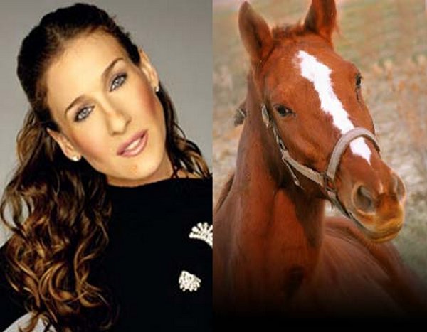 sarah jessica parker looks like a horse 01 Sarah Jessica Parker Looks Like A Horse?