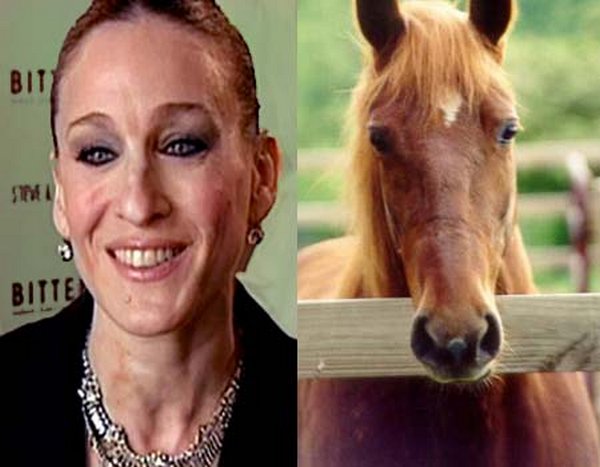 sarah jessica parker looks like a horse 03 Sarah Jessica Parker Looks Like A Horse?