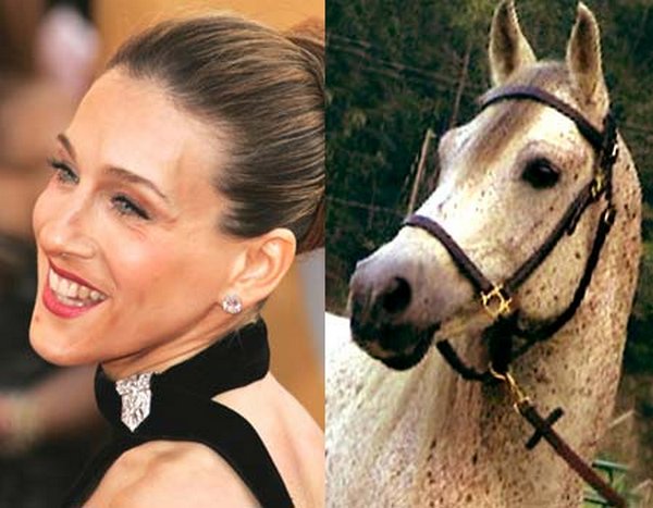 sarah jessica parker looks like a horse 05 Sarah Jessica Parker Looks Like A Horse?