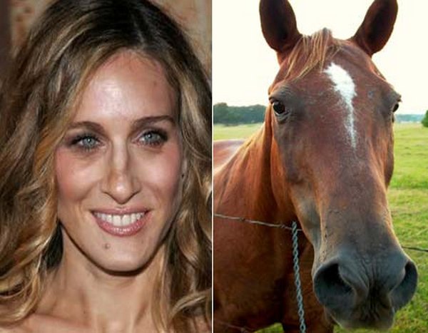 sarah jessica parker looks like a horse 06 Sarah Jessica Parker Looks Like A Horse?