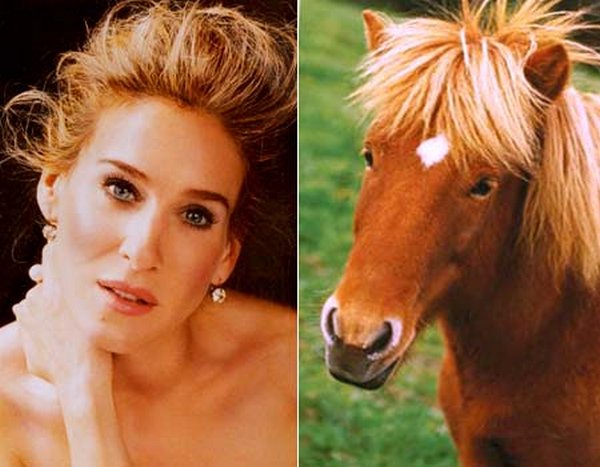 sarah jessica parker looks like a horse 07 Sarah Jessica Parker Looks Like A Horse?