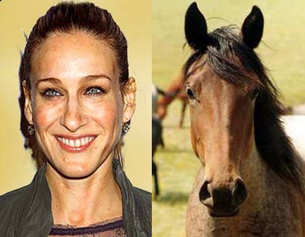 sarah jessica parker looks like a horse 10 Sarah Jessica Parker Looks Like A Horse?