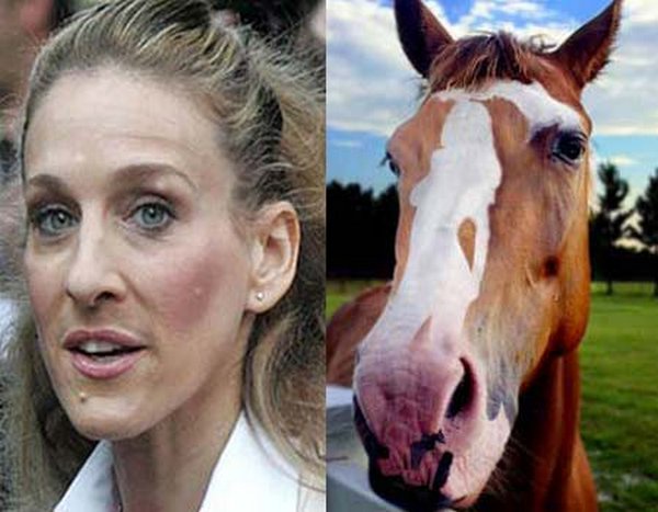 sarah jessica parker looks like a horse 12 Sarah Jessica Parker Looks Like A Horse?