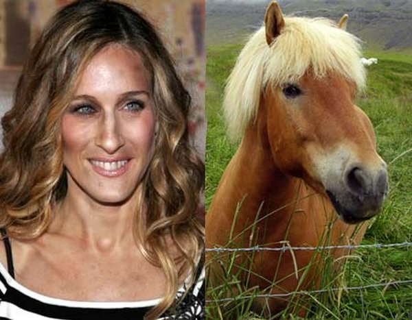 sarah jessica parker looks like a horse 13 Sarah Jessica Parker Looks Like A Horse?