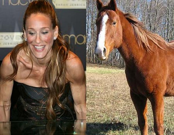 sarah jessica parker looks like a horse 14 Sarah Jessica Parker Looks Like A Horse?