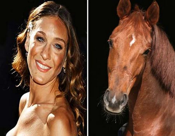 sarah jessica parker looks like a horse 15 Sarah Jessica Parker Looks Like A Horse?