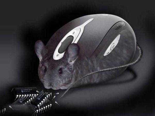 most creative computer mice 06 15 Most Creative Computer Mice
