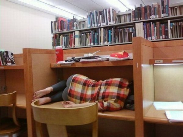 sleeping in library 12 Sleeping In The Library
