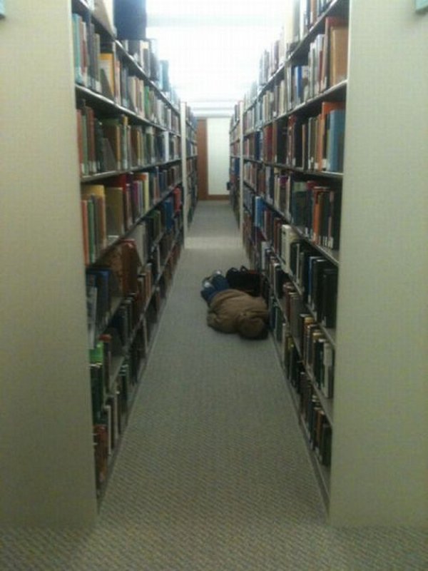 sleeping in library 15 Sleeping In The Library