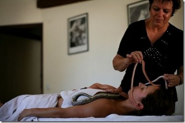snake message 01 Refreshing Snake Massage In Israel