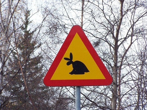 17 funniest road signs ever 09 17 Funniest Warning Giving Signs Ever Found