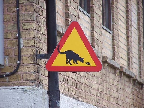 17 funniest road signs ever 12 17 Funniest Warning Giving Signs Ever Found
