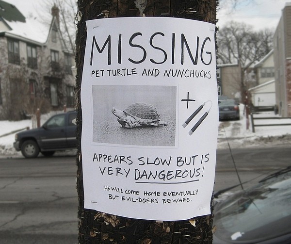 funniest signs on telephone poles 01 Top 10 Funniest Signs on Telephone Poles