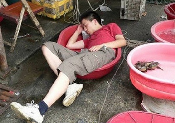funny sleepy people 10 How To Guide: To Sleeping at Work