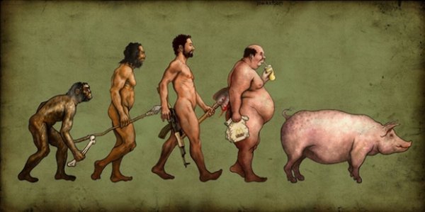 Funny Photos of Evolution In Every Things