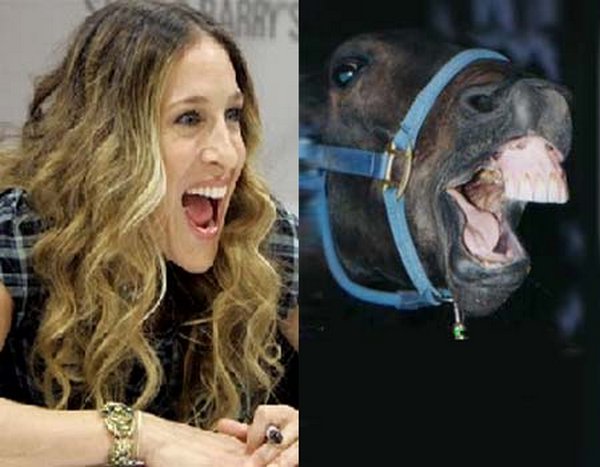 Sarah Jessica Parker Looks Like A Horse?