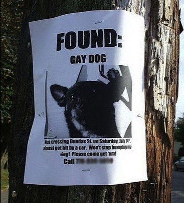 Top 10 Funniest Signs on Telephone Poles